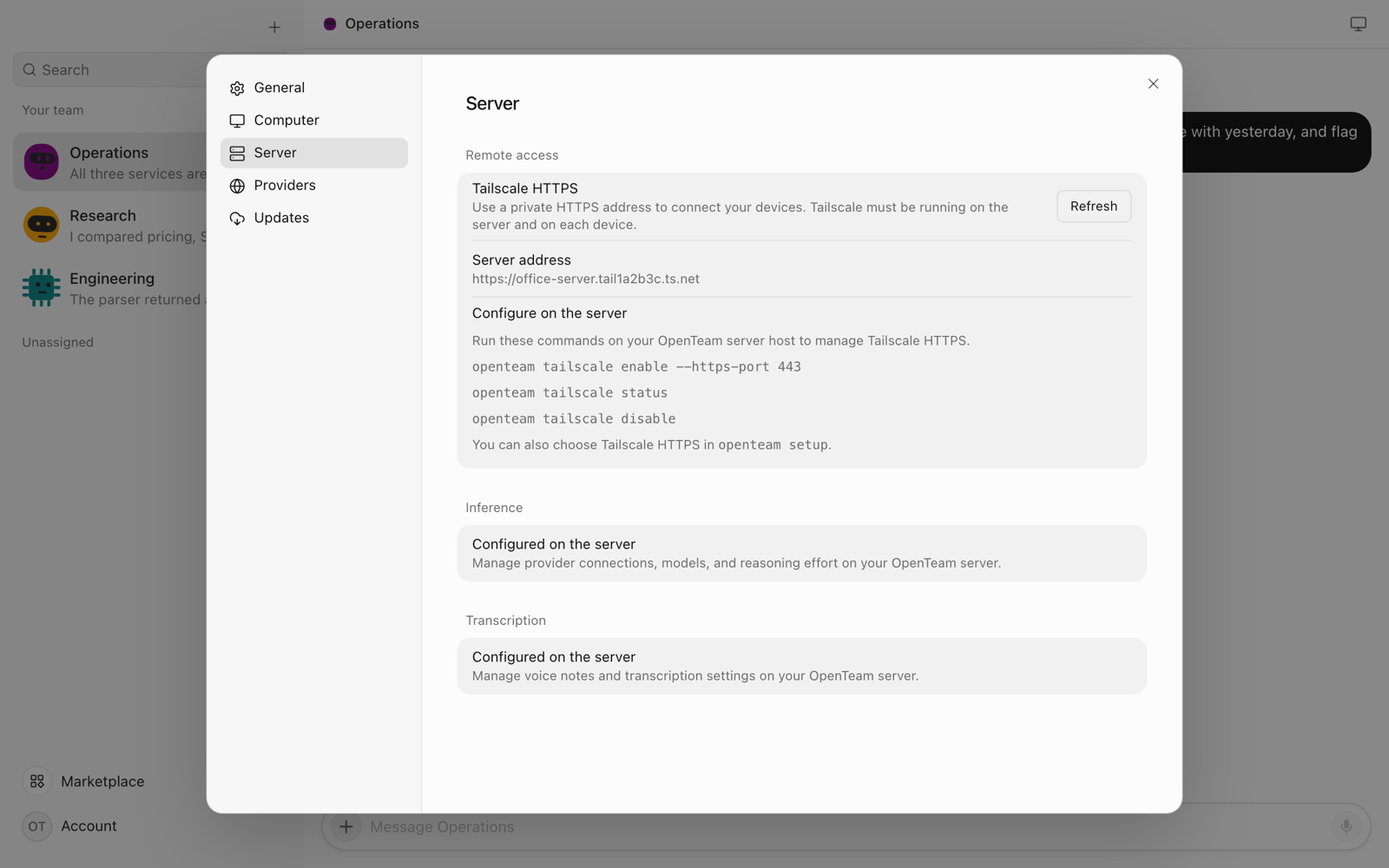 The Remote access section for a remote server, listing the openteam tailscale enable, status and disable commands
