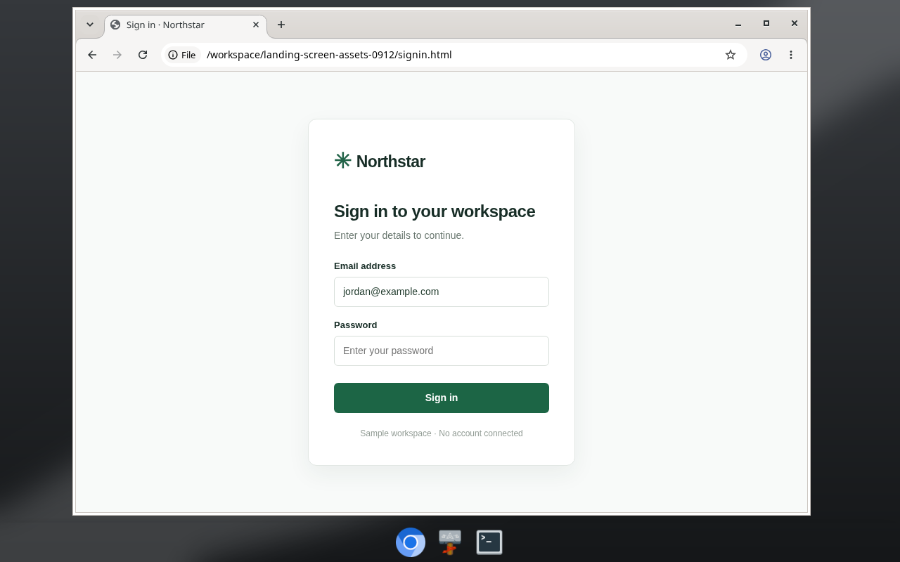 A sample sign-in page open in Chromium on a bot's Linux desktop